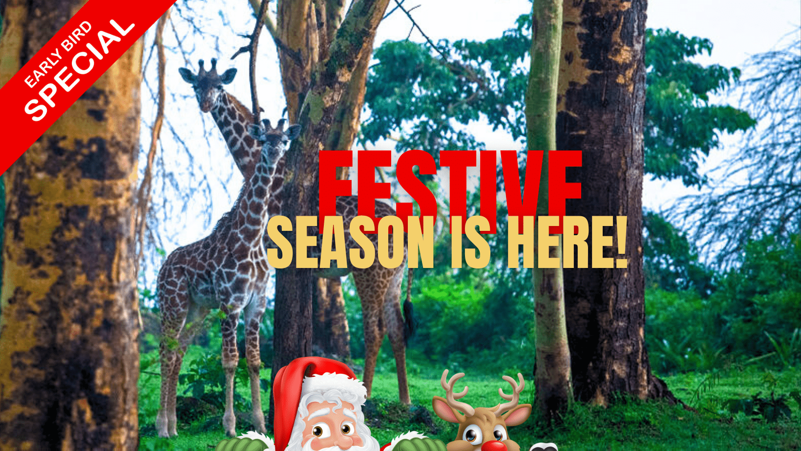 festive season offer at Elsamere lodge Naivasha