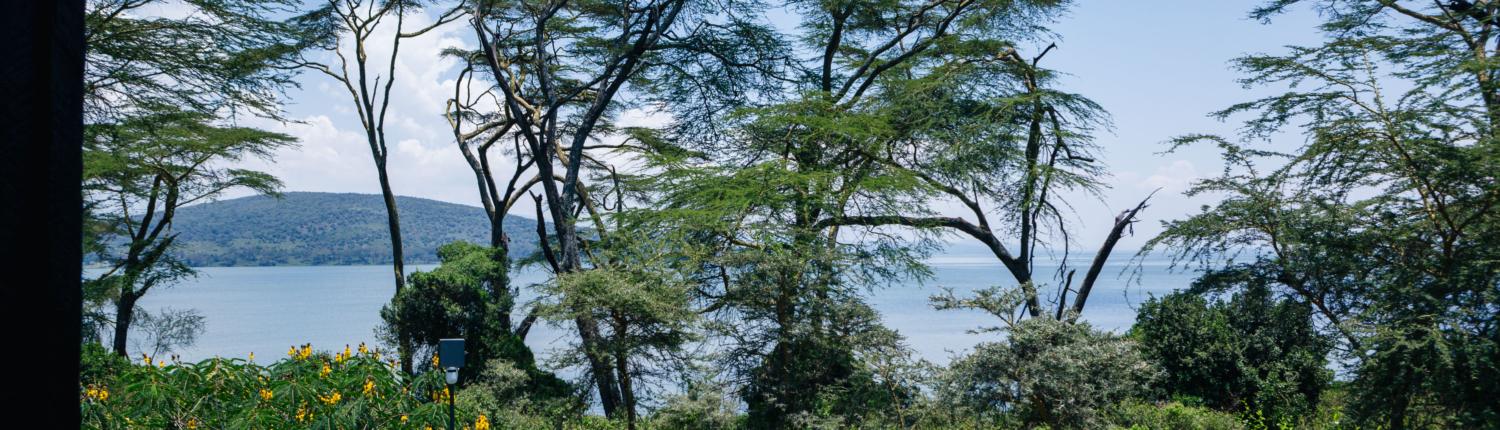 Tranquil view of Elsamere Lodge’s garden overlooking Lake Naivasha, surrounded by lush greenery and calm waters.